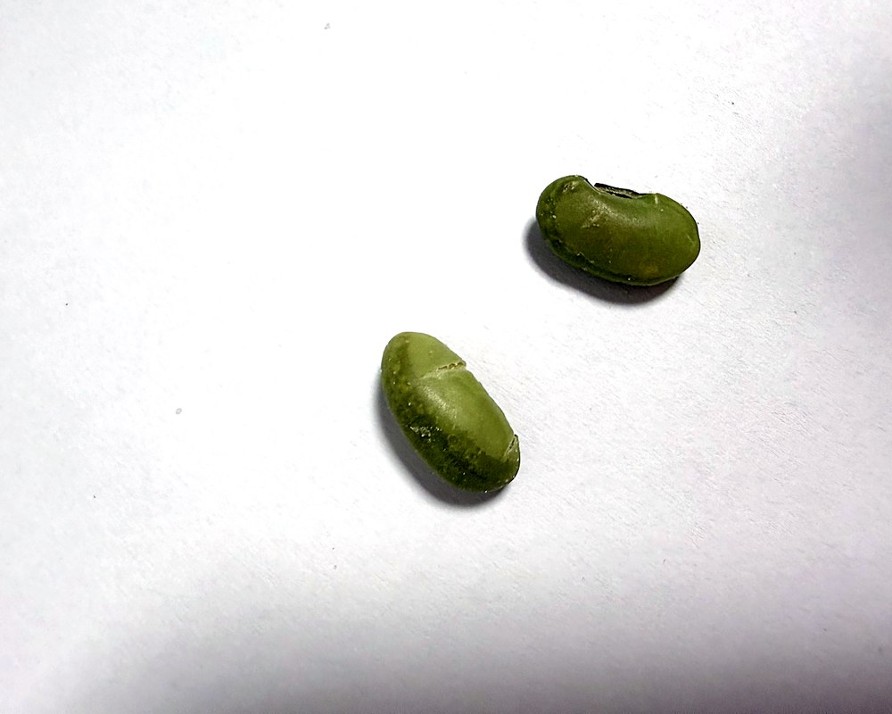 Private label roasted edamame